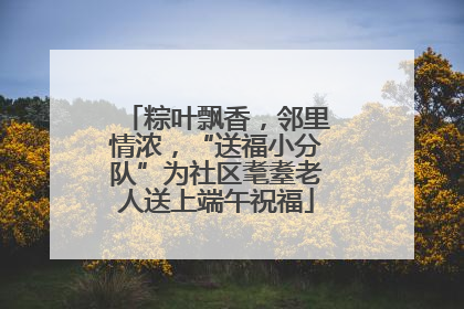 粽叶飘香，邻里情浓，“送福小分队”为社区耄耋老人送上端午祝福