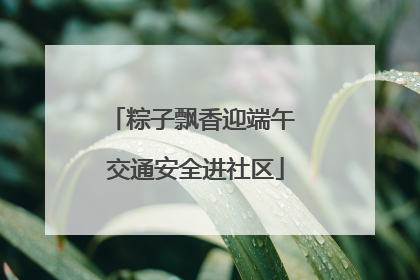 粽子飘香迎端午 交通安全进社区
