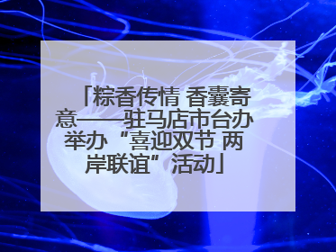 粽香传情 香囊寄意——驻马店市台办举办“喜迎双节 两岸联谊”活动