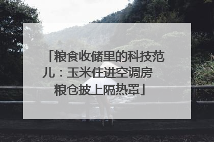 粮食收储里的科技范儿：玉米住进空调房 粮仓披上隔热罩
