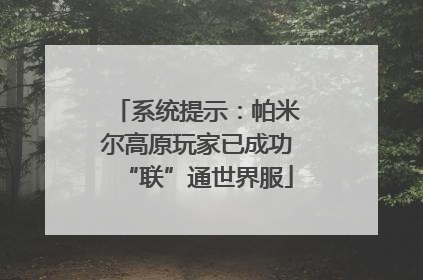系统提示：帕米尔高原玩家已成功“联”通世界服