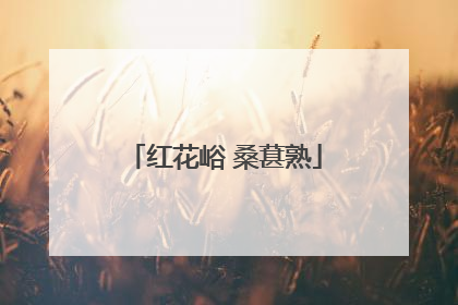 红花峪 桑葚熟