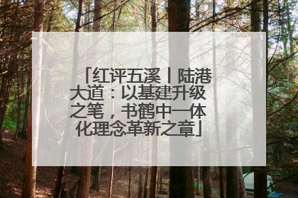 红评五溪丨陆港大道：以基建升级之笔，书鹤中一体化理念革新之章