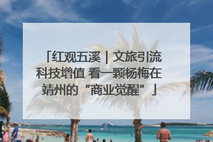红观五溪｜文旅引流 科技增值 看一颗杨梅在靖州的“商业觉醒”