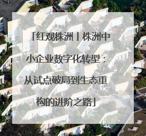 红观株洲丨株洲中小企业数字化转型：从试点破局到生态重构的进阶之路