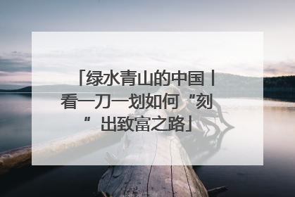 绿水青山的中国丨看一刀一划如何“刻”出致富之路