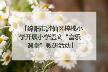 绵阳市游仙区梓棉小学开展小学语文“富乐课堂”教研活动