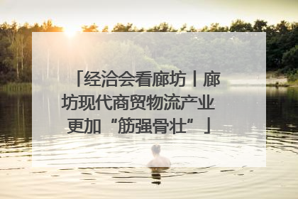 经洽会看廊坊丨廊坊现代商贸物流产业更加“筋强骨壮”
