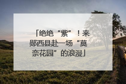 绝绝“紫”！来郧西县赴一场“莫奈花园”的浪漫