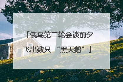 俄乌第二轮会谈前夕 飞出数只 “黑天鹅”