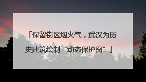 保留街区烟火气，武汉为历史建筑绘制“动态保护图”