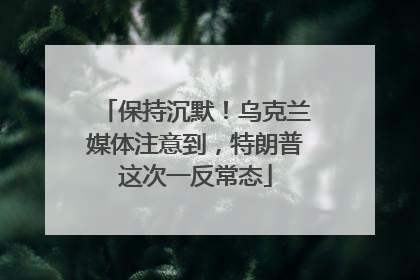 保持沉默！乌克兰媒体注意到，特朗普这次一反常态