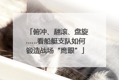 俯冲、翻滚、盘旋……看船艇支队如何锻造战场“鹰眼”