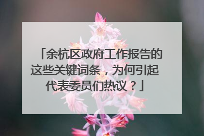 余杭区政府工作报告的这些关键词条，为何引起代表委员们热议？
