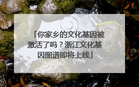 你家乡的文化基因被激活了吗？浙江文化基因图谱即将上线