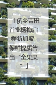 侨乡青田首批杨梅启程新加坡 保鲜提质售出“金果果”