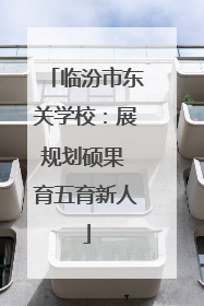 临汾市东关学校：展规划硕果 育五育新人