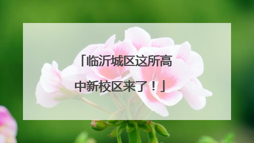 临沂城区这所高中新校区来了！