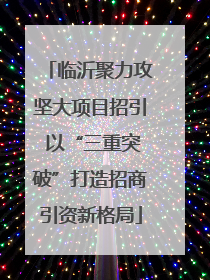 临沂聚力攻坚大项目招引 以“三重突破”打造招商引资新格局