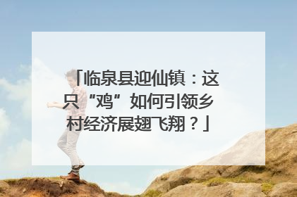 临泉县迎仙镇：这只“鸡”如何引领乡村经济展翅飞翔？