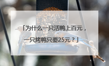 为什么一只活鸭上百元，一只烤鸭只要25元？