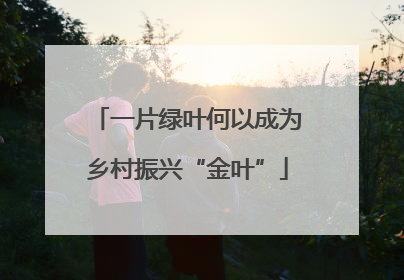 一片绿叶何以成为乡村振兴“金叶”