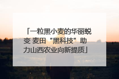 一粒黑小麦的华丽蜕变 麦田“黑科技”助力山西农业向新提质