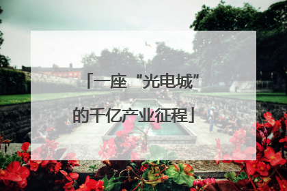 一座“光电城”的千亿产业征程