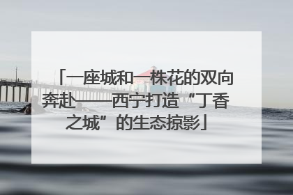 一座城和一株花的双向奔赴——西宁打造“丁香之城”的生态掠影