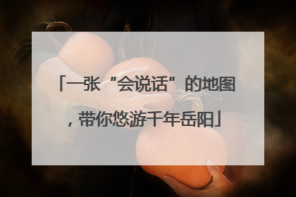 一张“会说话”的地图，带你悠游千年岳阳