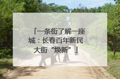 一条街了解一座城：长春百年新民大街“焕新”