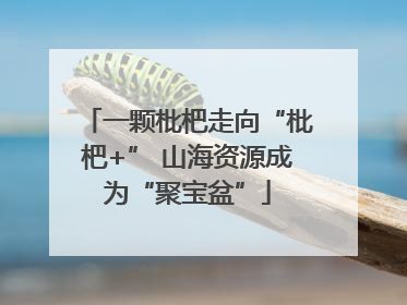 一颗枇杷走向“枇杷+” 山海资源成为“聚宝盆”