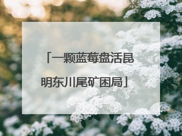 一颗蓝莓盘活昆明东川尾矿困局