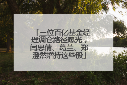 三位百亿基金经理调仓路径曝光，闫思倩、葛兰、郑澄然增持这些股