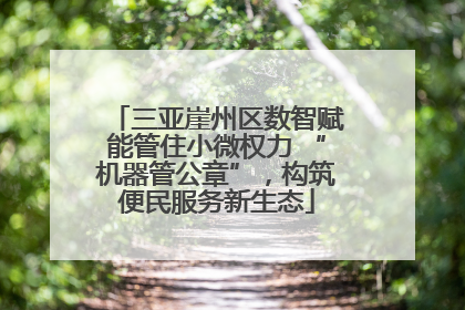 三亚崖州区数智赋能管住小微权力 “机器管公章”，构筑便民服务新生态