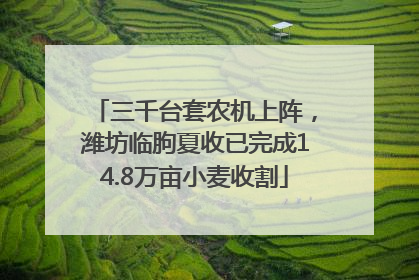 三千台套农机上阵，潍坊临朐夏收已完成14.8万亩小麦收割