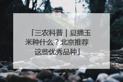 三农科普｜夏播玉米种什么？北京推荐这些优秀品种