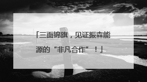 三面锦旗，见证振森能源的“非凡合作”！