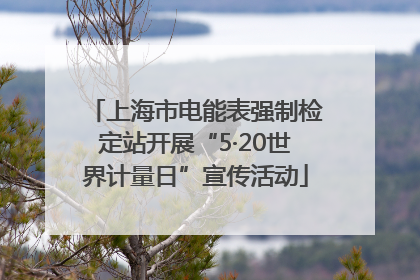 上海市电能表强制检定站开展“5·20世界计量日”宣传活动