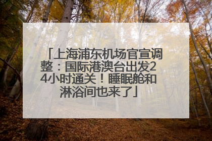 上海浦东机场官宣调整：国际港澳台出发24小时通关！睡眠舱和淋浴间也来了