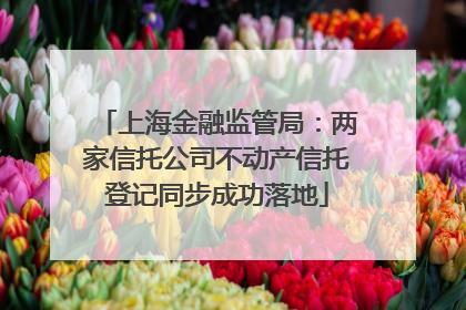 上海金融监管局：两家信托公司不动产信托登记同步成功落地