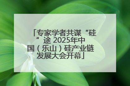 专家学者共谋“硅”途 2025年中国（乐山）硅产业链发展大会开幕