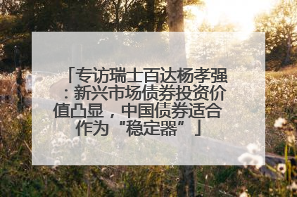 专访瑞士百达杨孝强：新兴市场债券投资价值凸显，中国债券适合作为“稳定器”