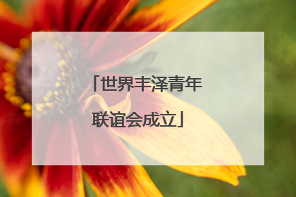 世界丰泽青年联谊会成立