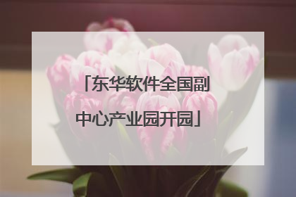 东华软件全国副中心产业园开园