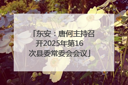东安：唐何主持召开2025年第16次县委常委会会议