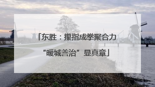 东胜：攥指成拳聚合力 “暖城善治”显真章