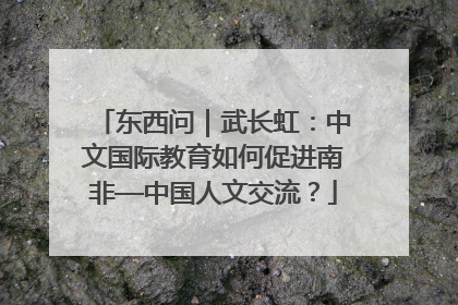 东西问｜武长虹：中文国际教育如何促进南非—中国人文交流？