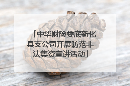 中华财险娄底新化县支公司开展防范非法集资宣讲活动