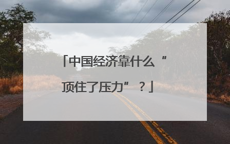 中国经济靠什么“顶住了压力”？